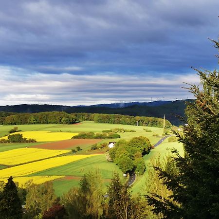 Geraeumige 2-Z Wohnung Im Gruenen, Garten, Terrasse, Ruhig, Natur, Phantastischer Blick! Marburg Esterno foto