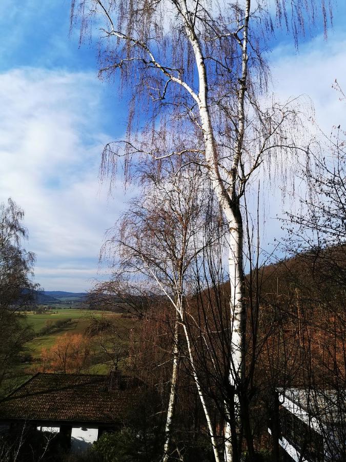 Geraeumige 2-Z Wohnung Im Gruenen, Garten, Terrasse, Ruhig, Natur, Phantastischer Blick! Marburg Esterno foto