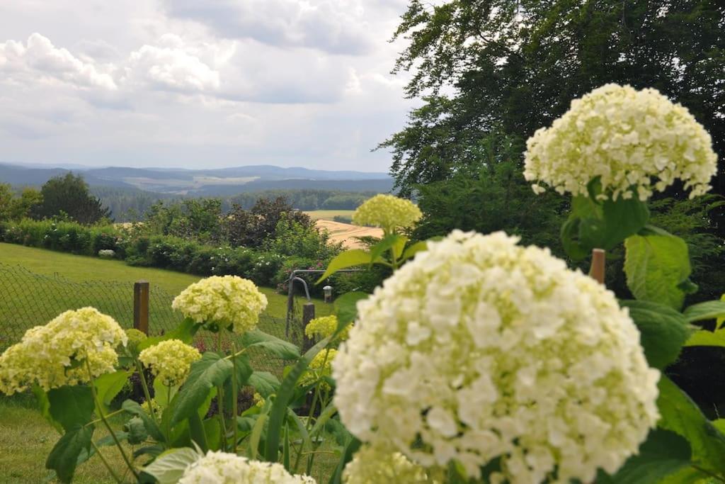 Geraeumige 2-Z Wohnung Im Gruenen, Garten, Terrasse, Ruhig, Natur, Phantastischer Blick! Marburg Esterno foto