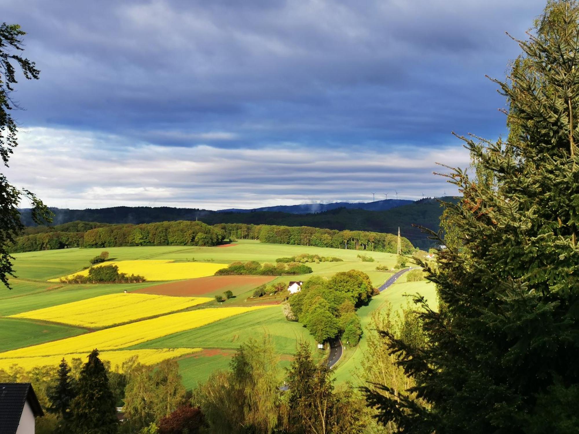 Geraeumige 2-Z Wohnung Im Gruenen, Garten, Terrasse, Ruhig, Natur, Phantastischer Blick! Marburg Esterno foto