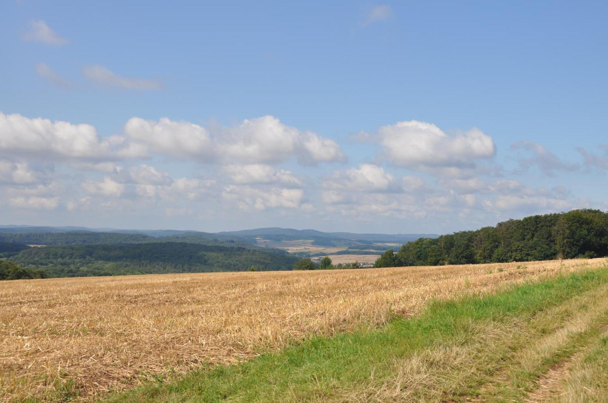 Geraeumige 2-Z Wohnung Im Gruenen, Garten, Terrasse, Ruhig, Natur, Phantastischer Blick! Marburg Esterno foto
